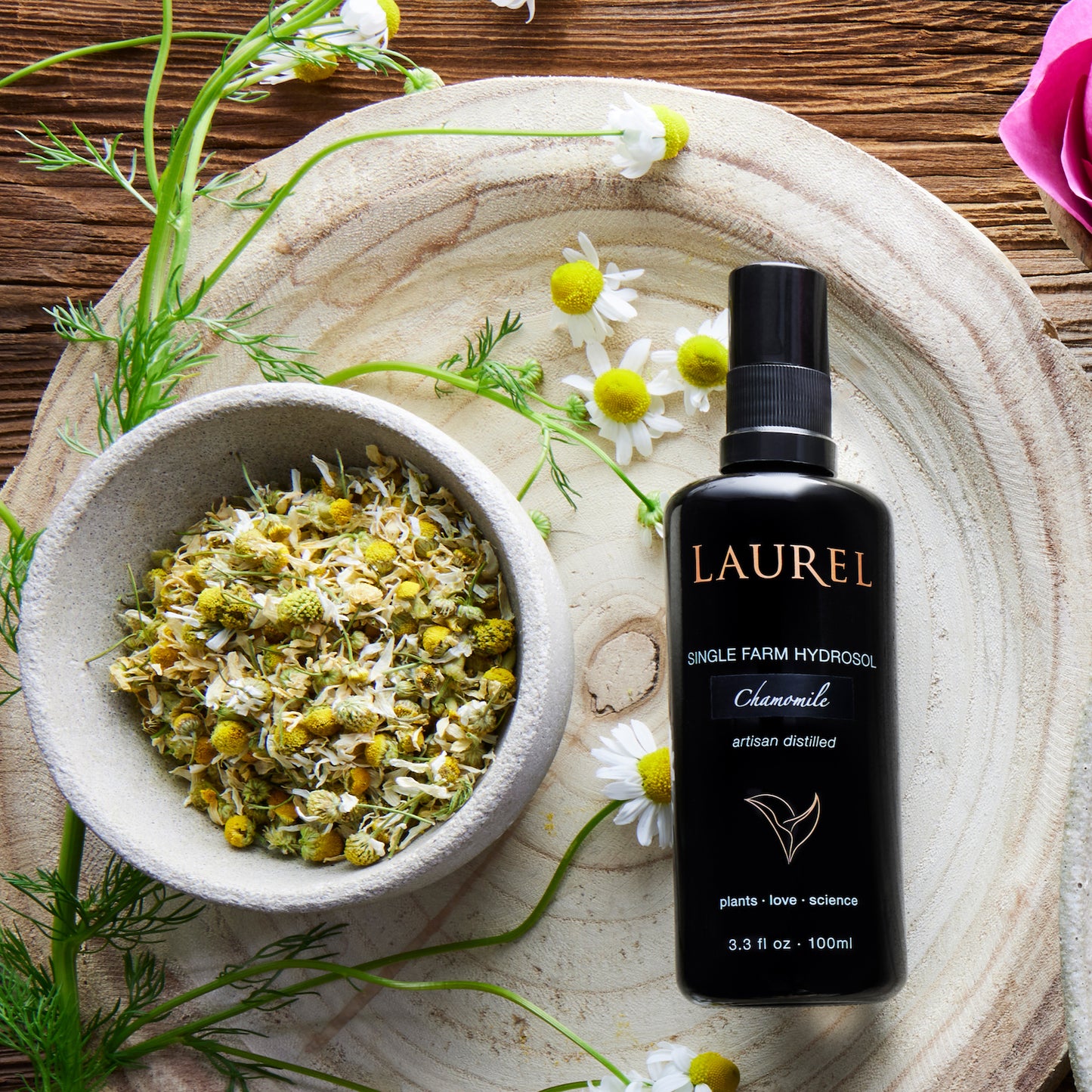 Chamomile Single Farm Hydrosol | Laurel Skin
