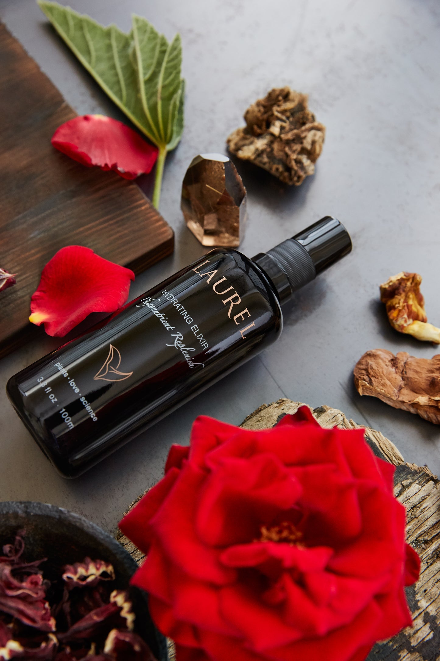 Hydrating Elixir I | Laurel Skin